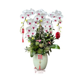 Yellow orchid pot delivery to hochiminh city