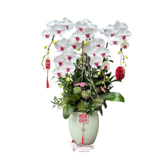 Yellow orchid pot delivery to hochiminh city