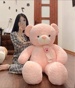 Buy Pink teedy bears in Hochiminh city