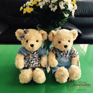 Couple Teddy Bears in HCM