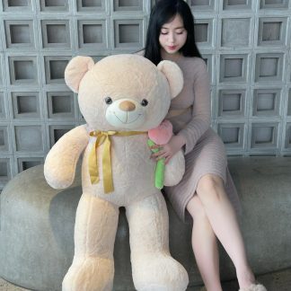 Cream Teddy Bears in Hochiminh city VN