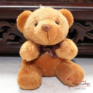 Mini Teddy Bears Brown in HCM