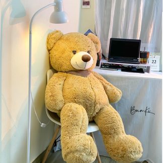 send teedy bears to my girtlfriend