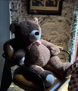 Teddy bear delivery Hochiminh