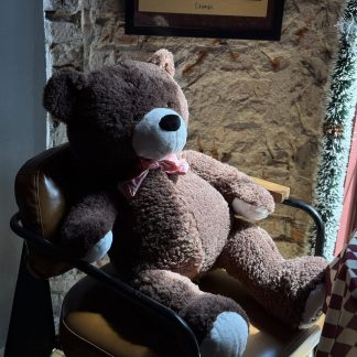 teedy bears delivery to hochiminh city