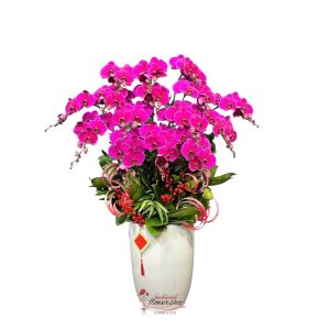 Elegant purple orchid potted plant as a gift