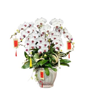 Beautiful orchid bouquet in hochiminh