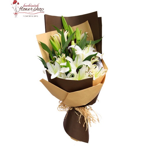 beautiful white lily flowers