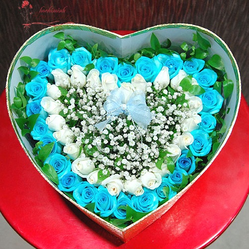 Blue rose in heart box