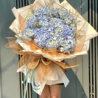 blue hydrangeas flower in hochiminh flower shop