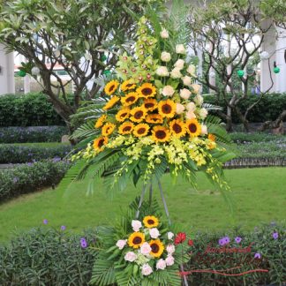 Buy congratulation flowers at Hochiminh