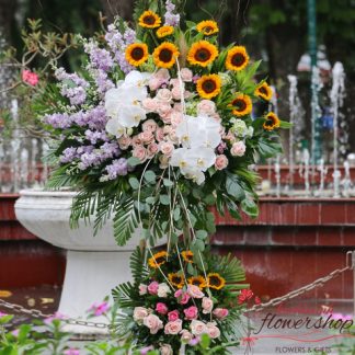 Hochiminh congratulations flowers online