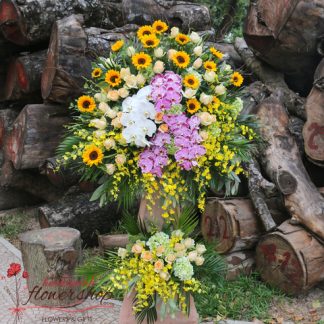 Send opening congratulation flowers to Hochiminh