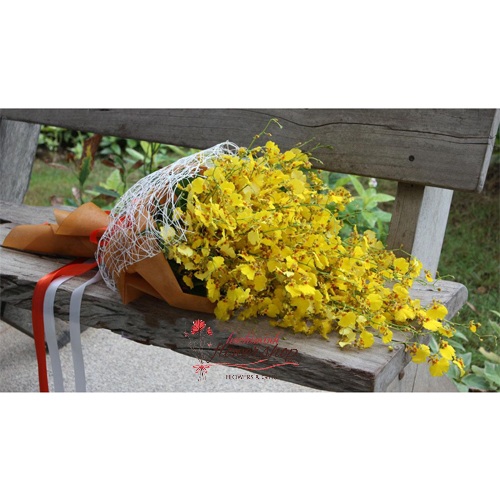Yellow orchids flowers